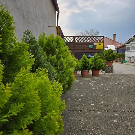 Casa de hóspedes Bangó 3*