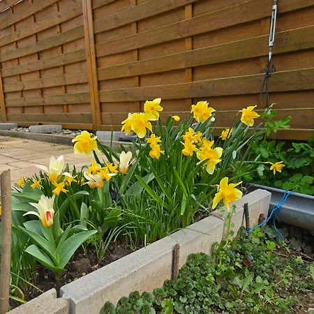 Casa de hóspedes Bangó Hévíz