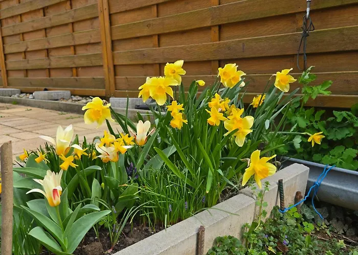 Maison d'hôtes Bangó Hévíz